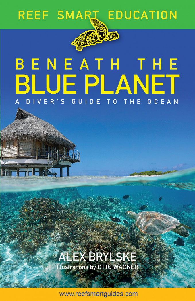Beneath the Blue Planet