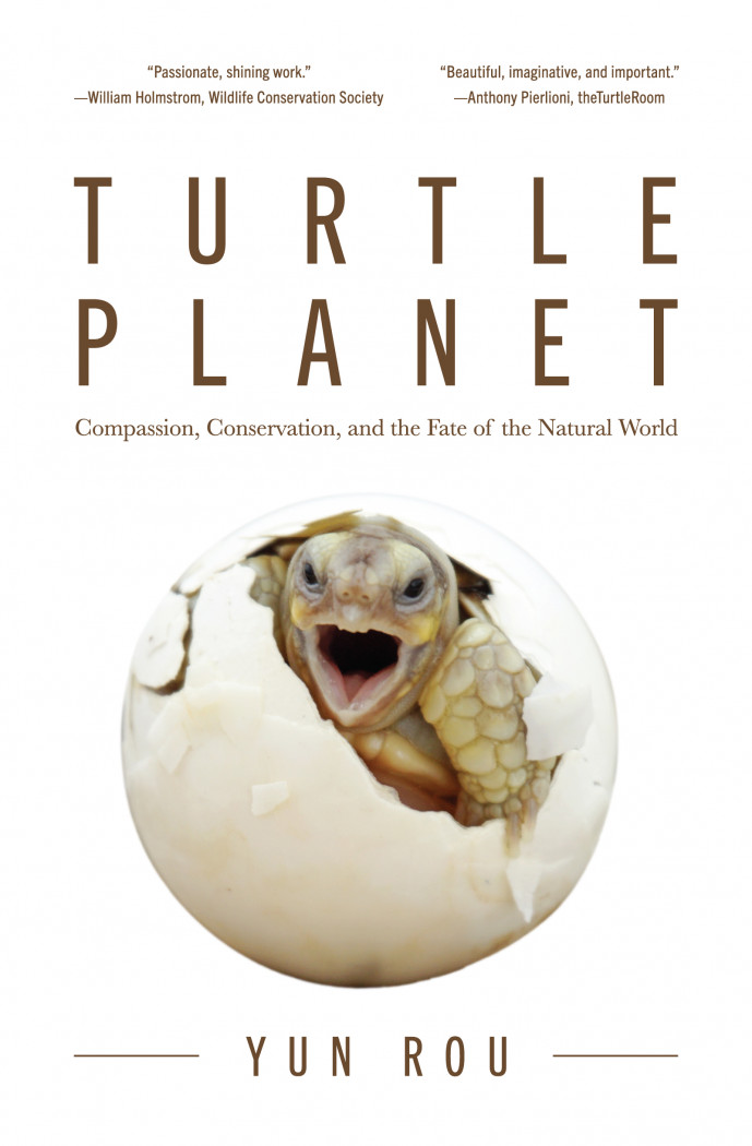 Turtle Planet